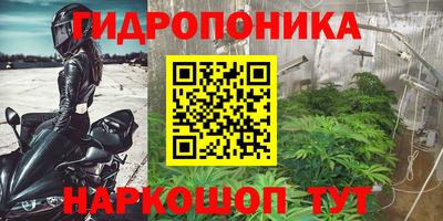 индика Нарткала