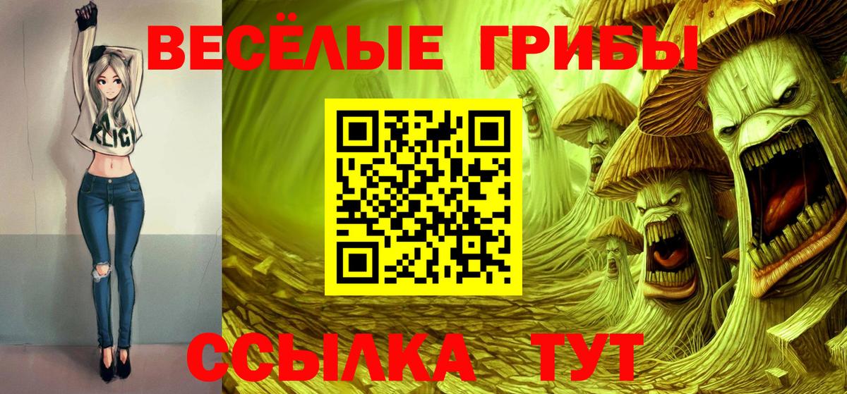 Псилоцибиновые грибы Magic Shrooms  Вход с VPN  наркотики  Сухой Лог 